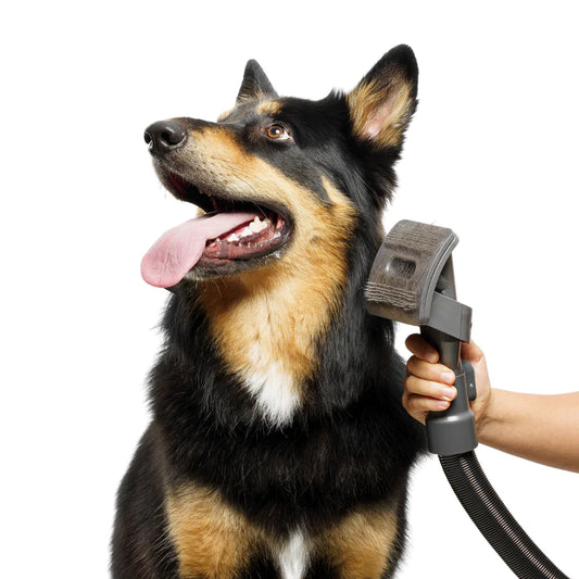 PawsBays™ Vacuum Pet Grooming Tool