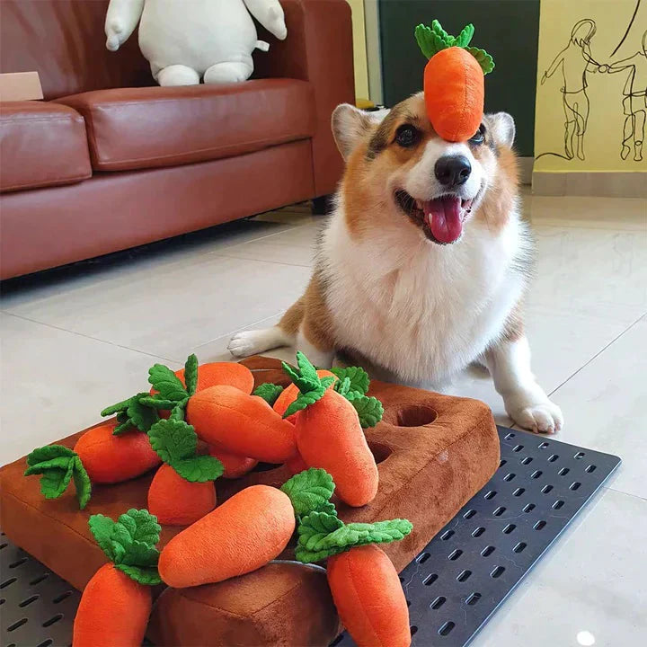 PawsBays™ Carrot Puzzle Toy